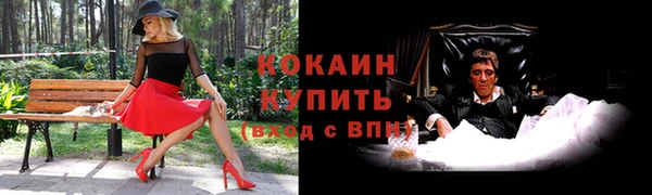 дмт Осташков