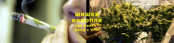 гидра Белокуриха