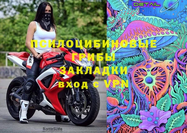 гидра Белокуриха