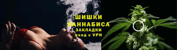 бошки Осинники