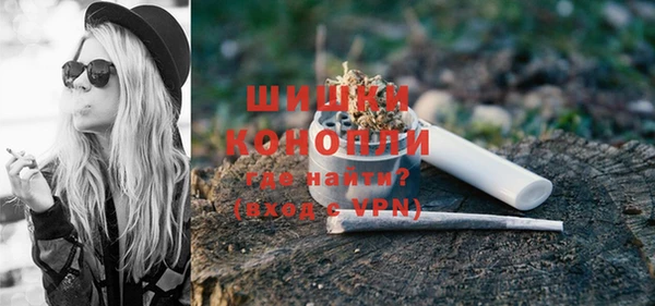 гидра Белокуриха