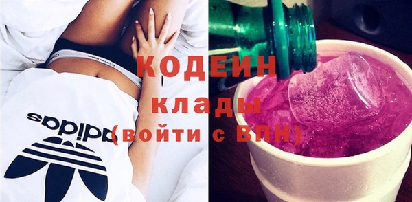 дмт Осташков