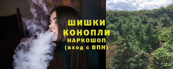 крисы Белоозёрский