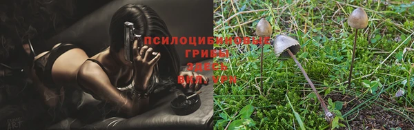 бошки Осинники