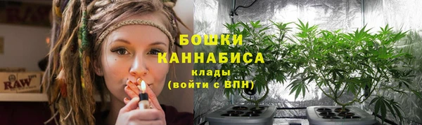 крисы Белоозёрский