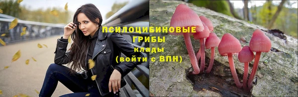 крисы Белоозёрский