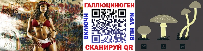 Псилоцибиновые грибы мицелий  где купить наркотик  Сердобск 